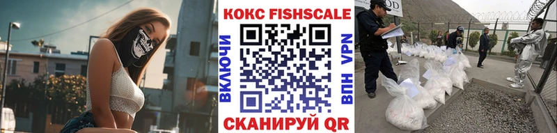 Купить закладки  Шебекино  COCAIN Fish Scale 