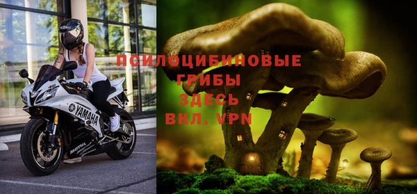 прущая мука Нягань